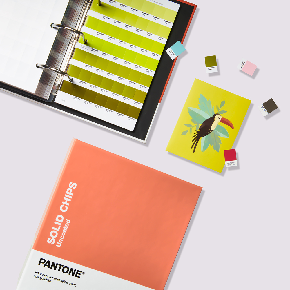 PANTONE パントン・ソリッドチップス/2冊組(コート紙、上質紙)