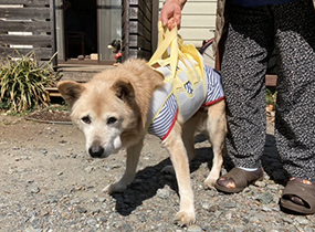 着たままねんねのハニカム胴着｜お客さまのPhotoレビュー