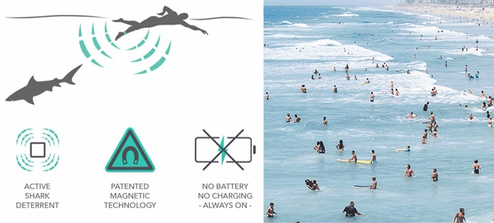 楽天市場】＼2/11までクーポン最大2000円OFF+P2倍／ シャークバンズ 2