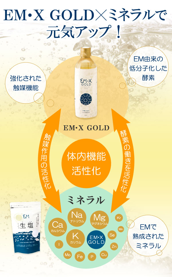 楽天市場】EM・Xゴールド（500ml）【6本セット】【EM生活】【いつでも