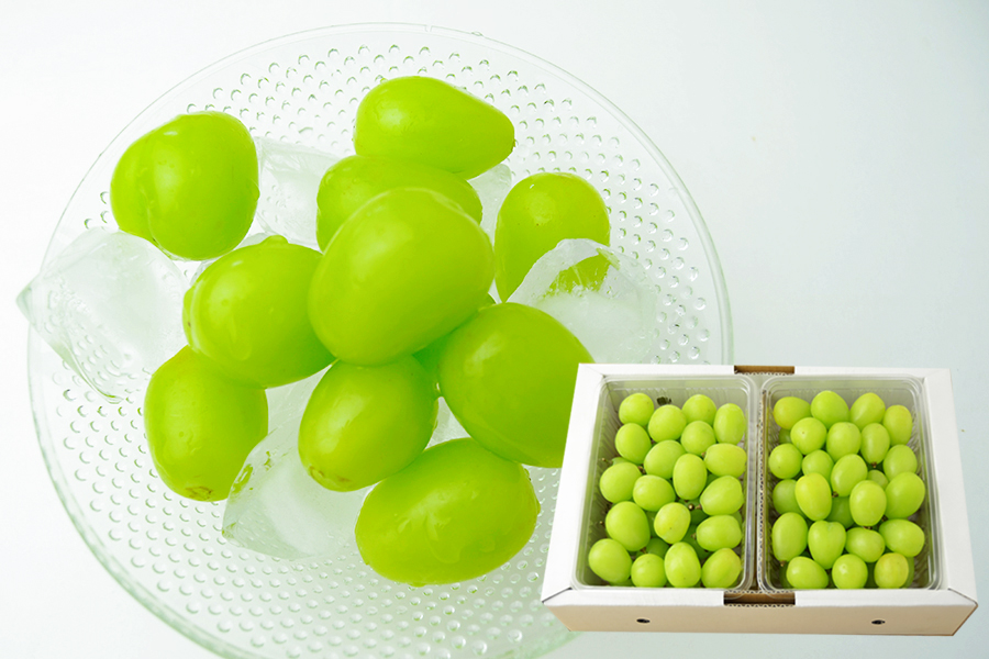 山形本沢ぶどうシャインマスカット (450gパック×2)