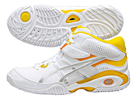 レディゲルフェアリー』シリーズの特徴