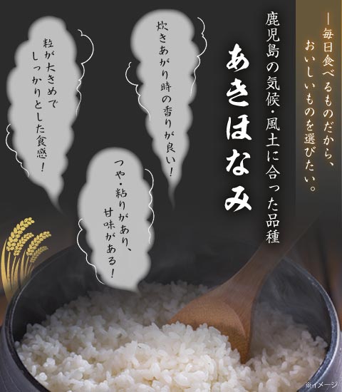 財宝米(鹿児島県北産あきほなみ・白米)5kg｜水・焼酎の財宝オンライン