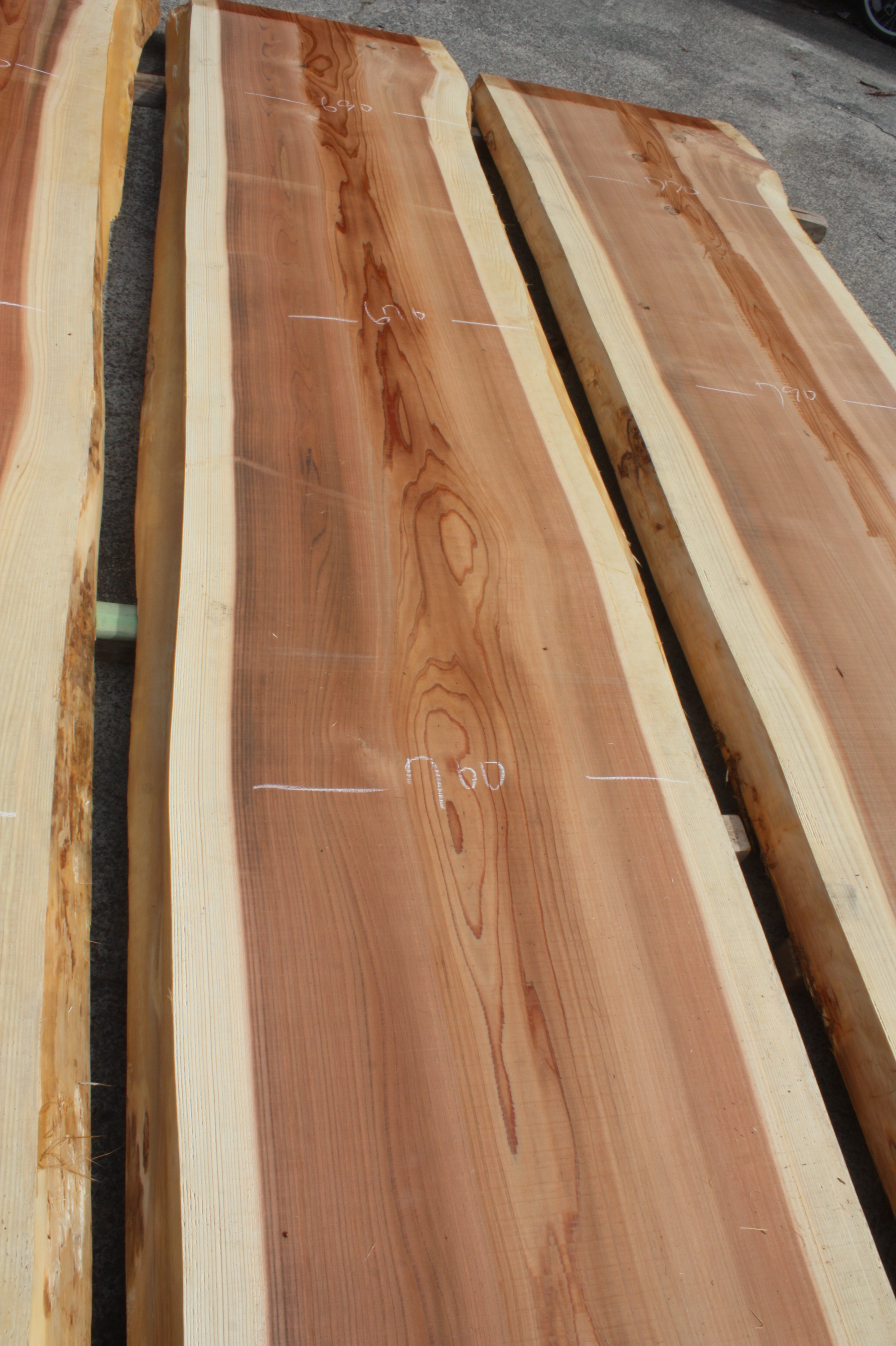 無垢カウンター用一枚板吉野杉s1141 | 一枚板テーブルと無垢カウンター