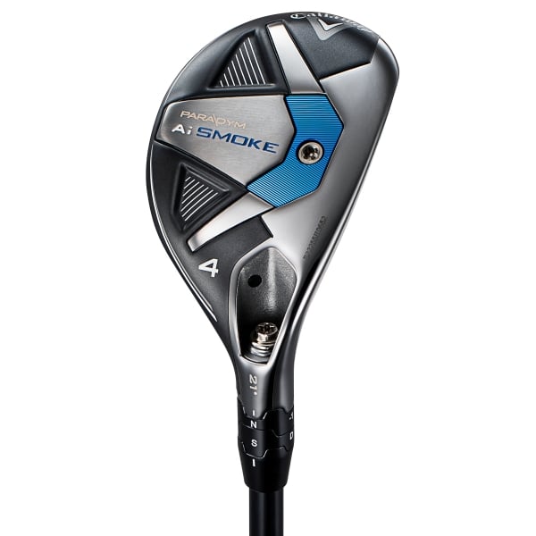 パラダイム Ai スモーク MAX ファスト／PARADYM Ai SMOKE MAX FAST