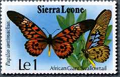 ドルーリーオオアゲハの切手