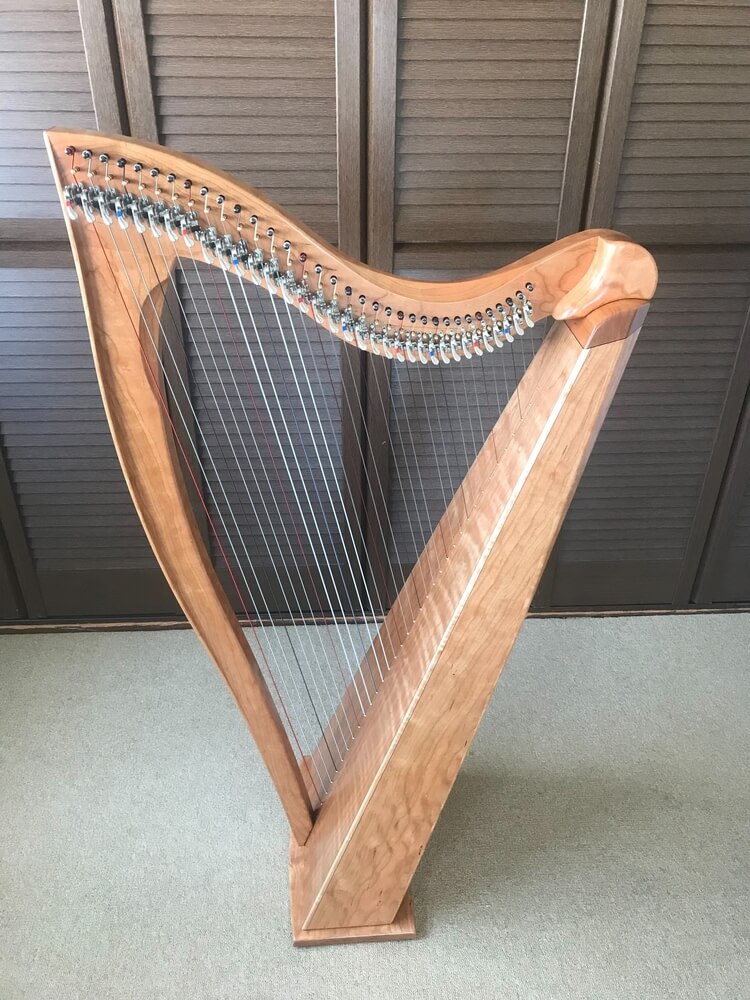 今月の入荷情報】Dusty Strings アイリッシュ・ハープ FH34弦や中古