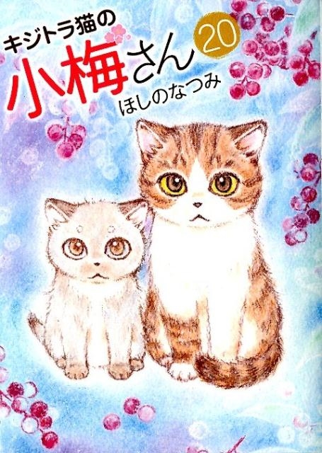 dショッピング |ほしのなつみ 「キジトラ猫の小梅さん 20 ねこぱんち