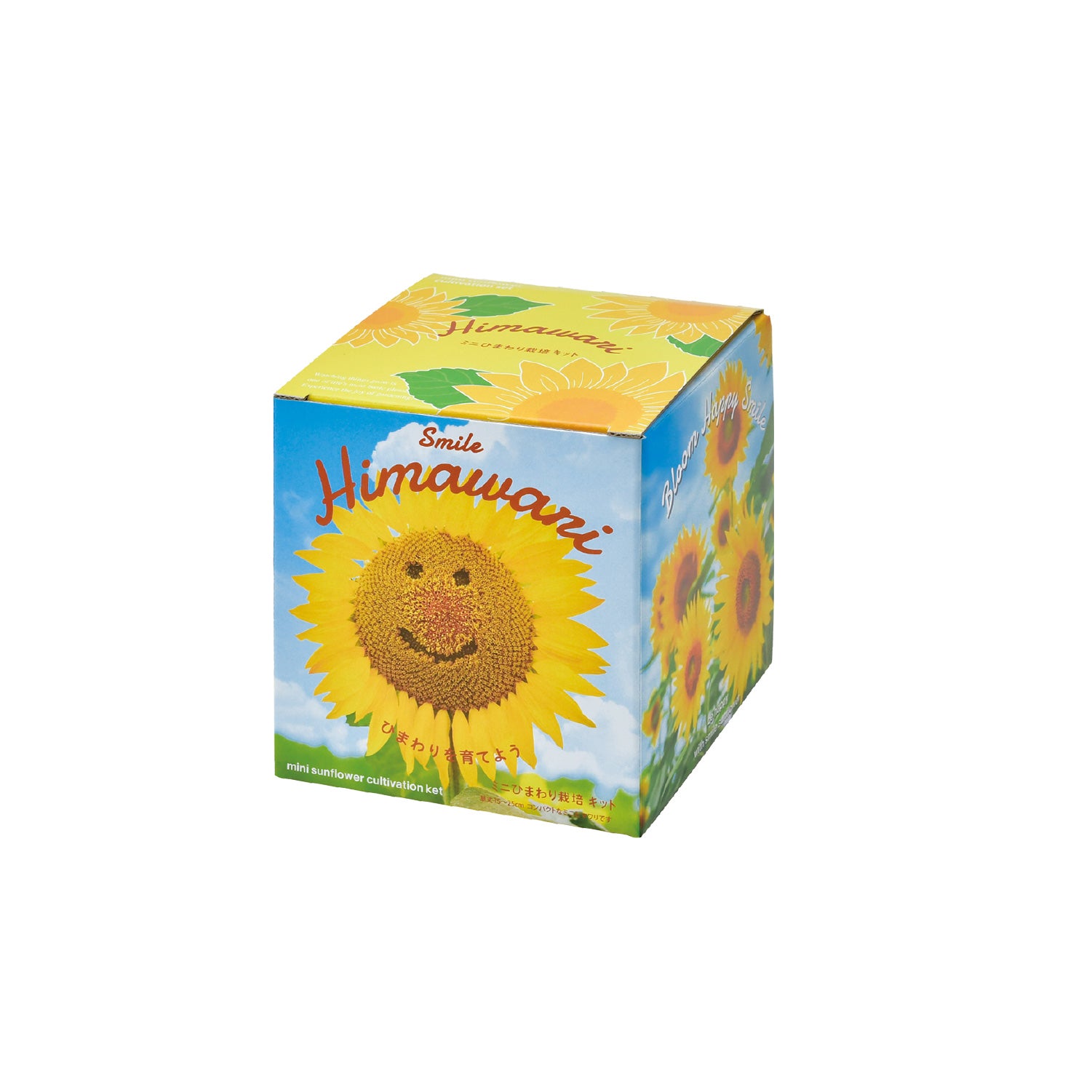 ミニひまわり栽培キット – Chatta