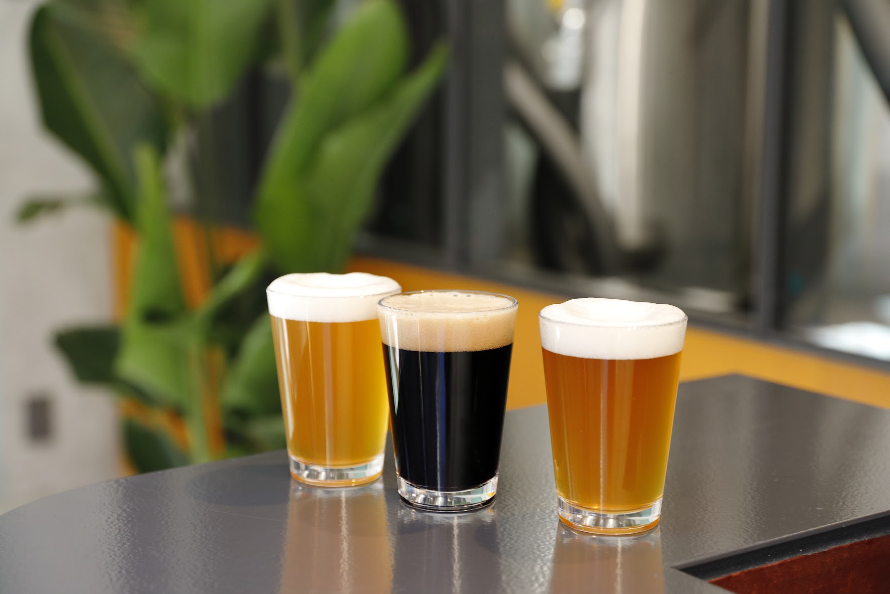 クラフトビール 山わらうエール 330ml×2本、山ねむるエール 330ml×1本