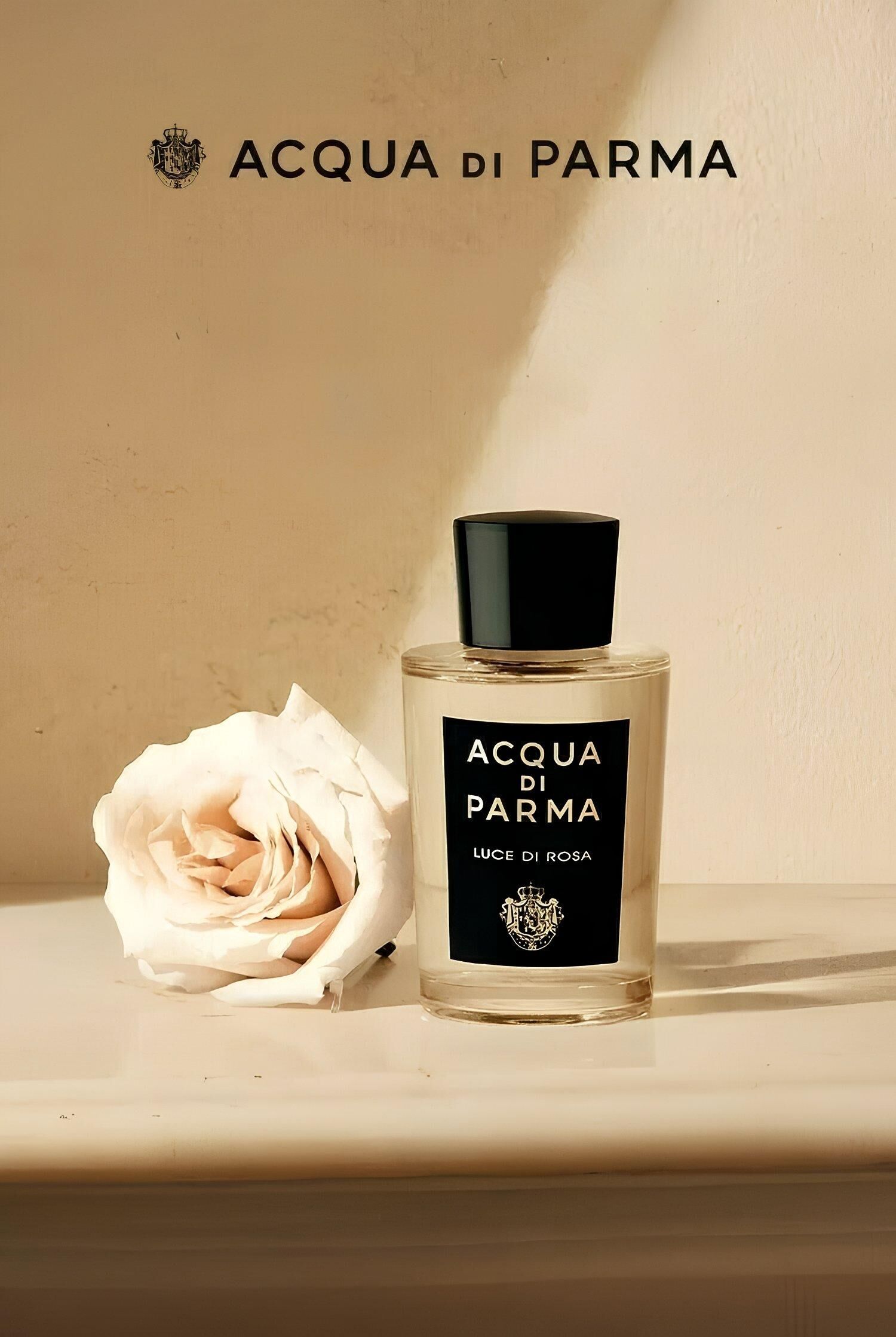 Luce di Rosa Acqua di Parma: The Cold Radiance of the Rose