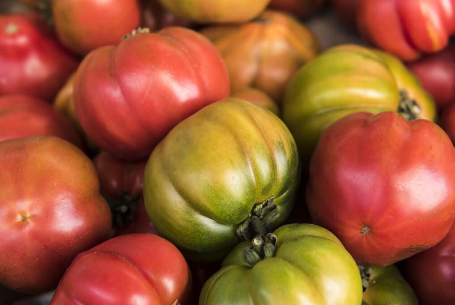 Mortgage Lifter Tomato – HOSS