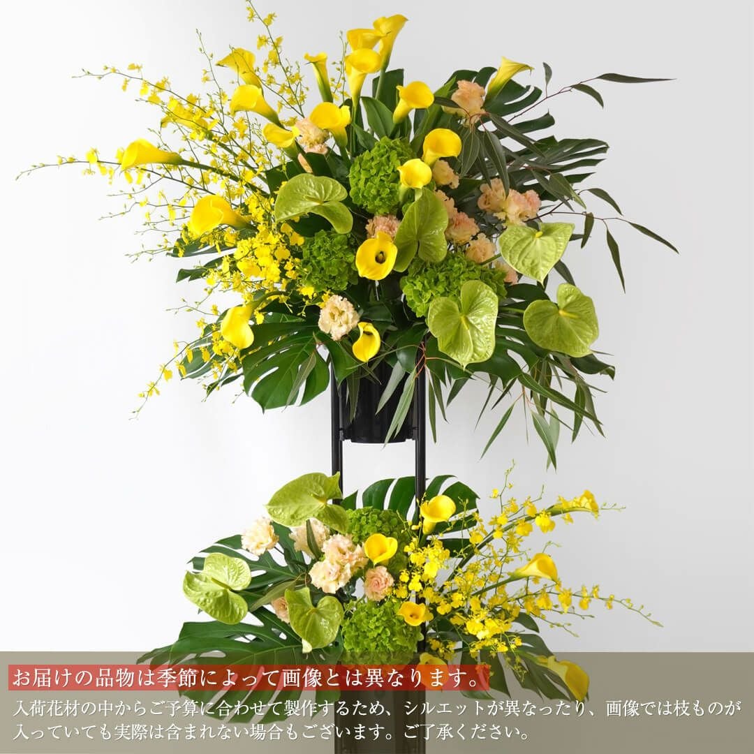 ハイビスカス（白とピンクの複色）｜青山花茂本店