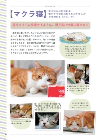 猫語辞典 オールカラー にゃんこのキモチがわかっちゃう！』 ｜ 学研