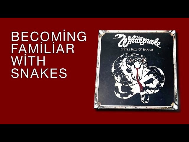 Whitesnake Little Box O' Snakes Unboxing | Early Era Collection