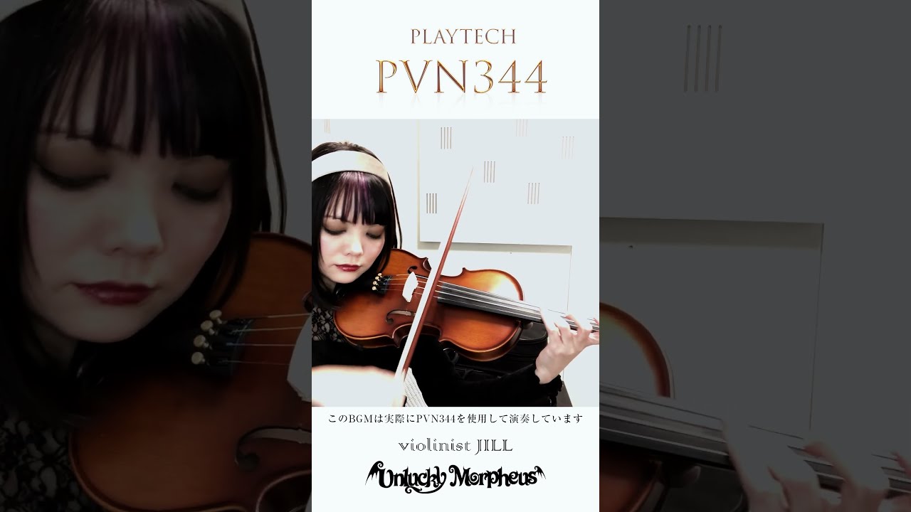 PLAYTECH / PVN344 バイオリン 4/4 #サウンドハウス #PLAYTECH‬