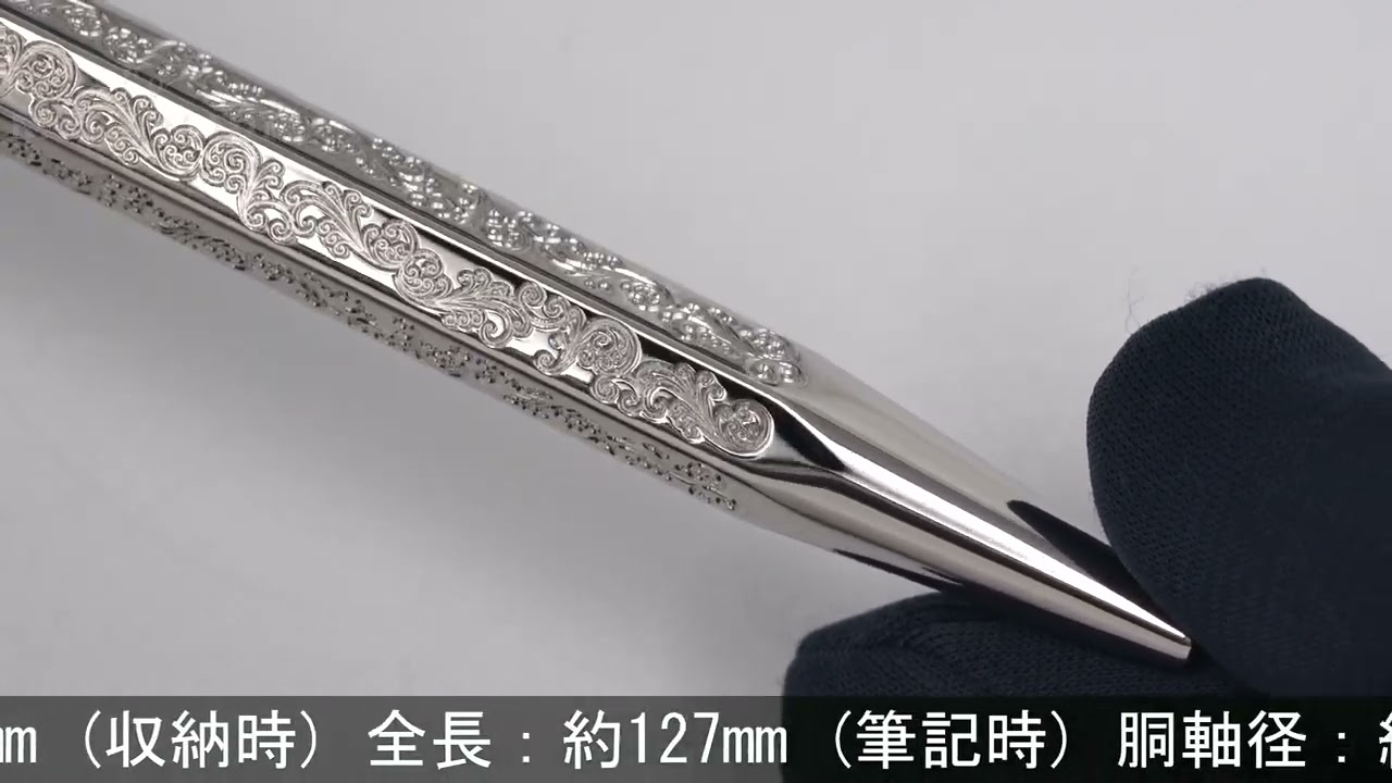 CARAN d'ACHE カランダッシュ ボールペン エクリドール 日本限定