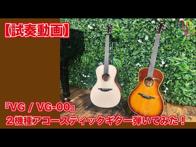 試奏動画】『VG / VG-00』2機種アコースティックギター弾いてみた