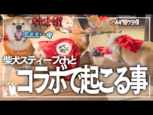 The truth about 100 million the result of collaborating with