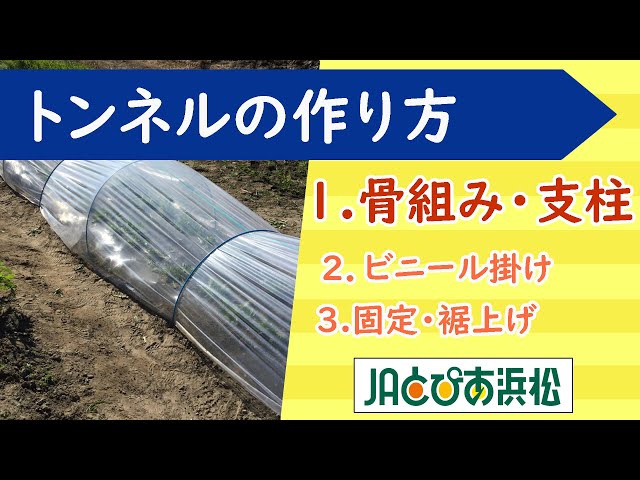 家庭菜園】トンネル1．骨組み作り・杭打ちと支柱の固定 - YouTube