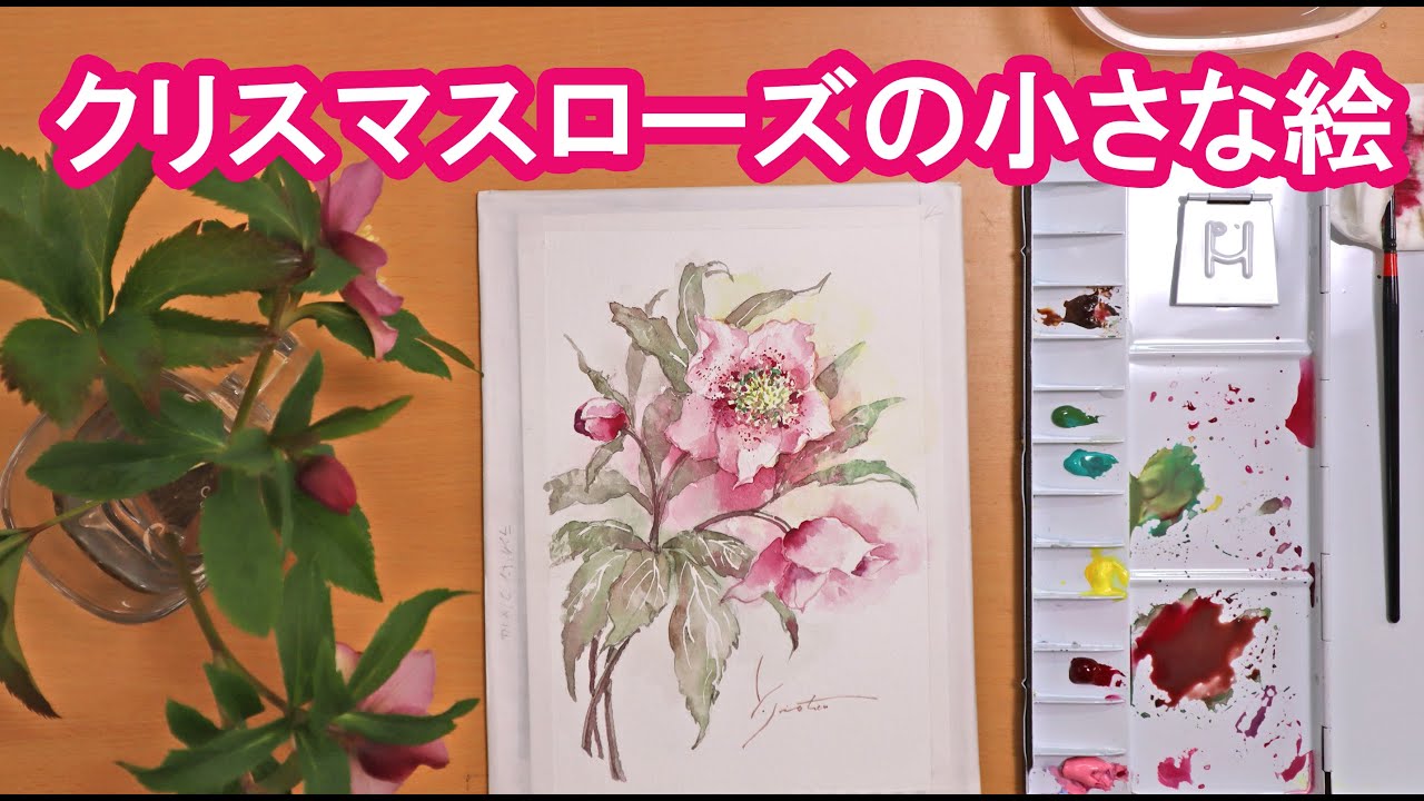 透明水彩画】クリスマスローズの小さな絵 - YouTube
