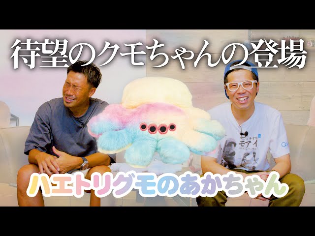 ハエトリグモのあかちゃん】ようやくクモちゃんがぬいぐるみになりまし