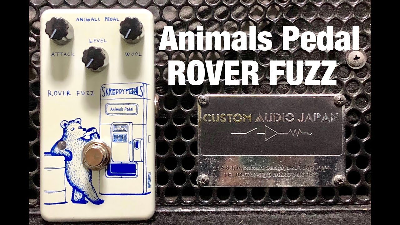 Animals Pedal / ROVER FUZZ 【弾きながらレビュー】 - YouTube