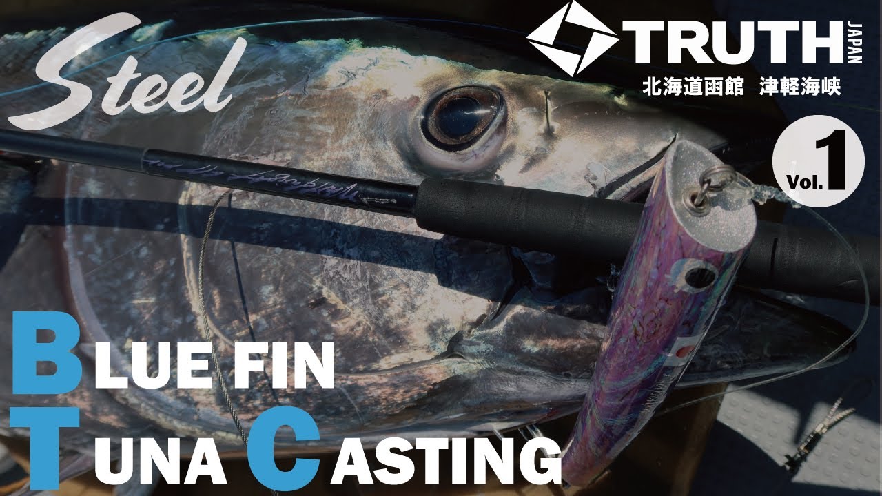 WhiteInsight 8010 | TRUTH JAPAN