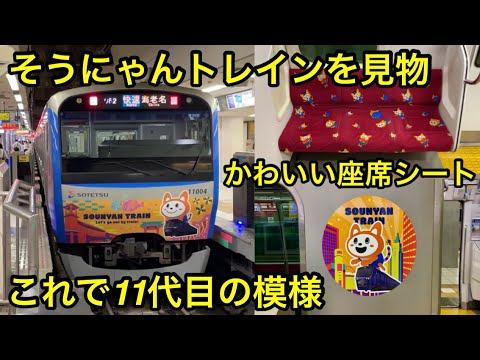2024年も相鉄線でそうにゃんトレインが運行 🎉】相鉄本線 11000系
