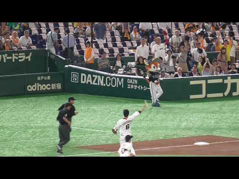 坂本勇人＆岡本和真 サインボール投げ入れ 東京ドーム 2019/06/19 プロ