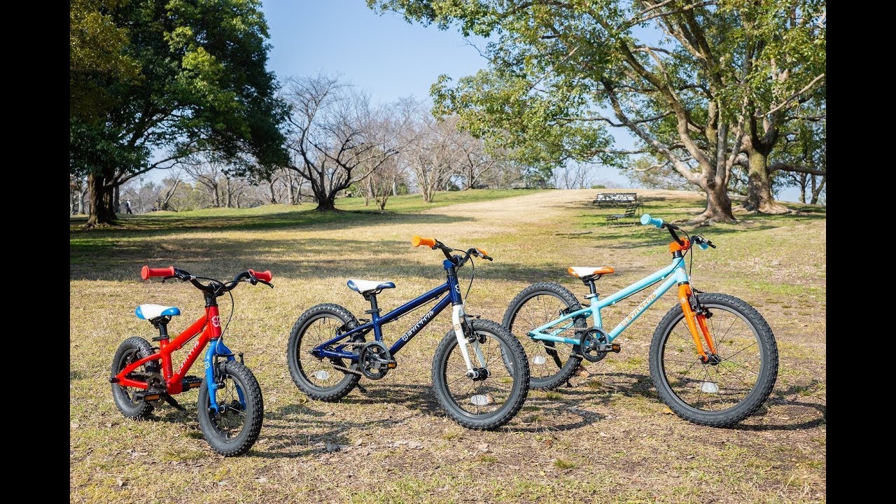 74】子供用自転車 子供車 ヨツバサイクル ブルー 20インチ シングル 74