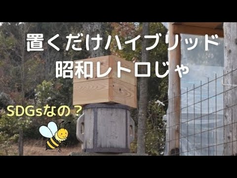 置くだけでハイブリッド待ち箱ができちゃった（SDGsなミツバチ巣箱