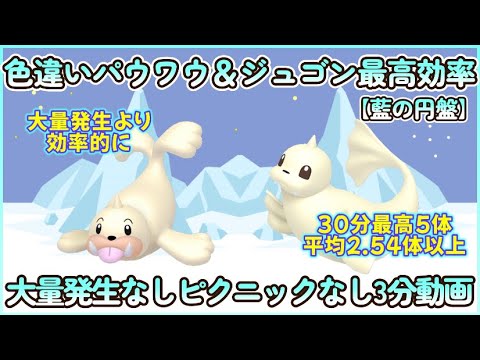 藍の円盤 色違いパウワウ＆ジュゴン最高効率3分まとめ 30分最高5体平均