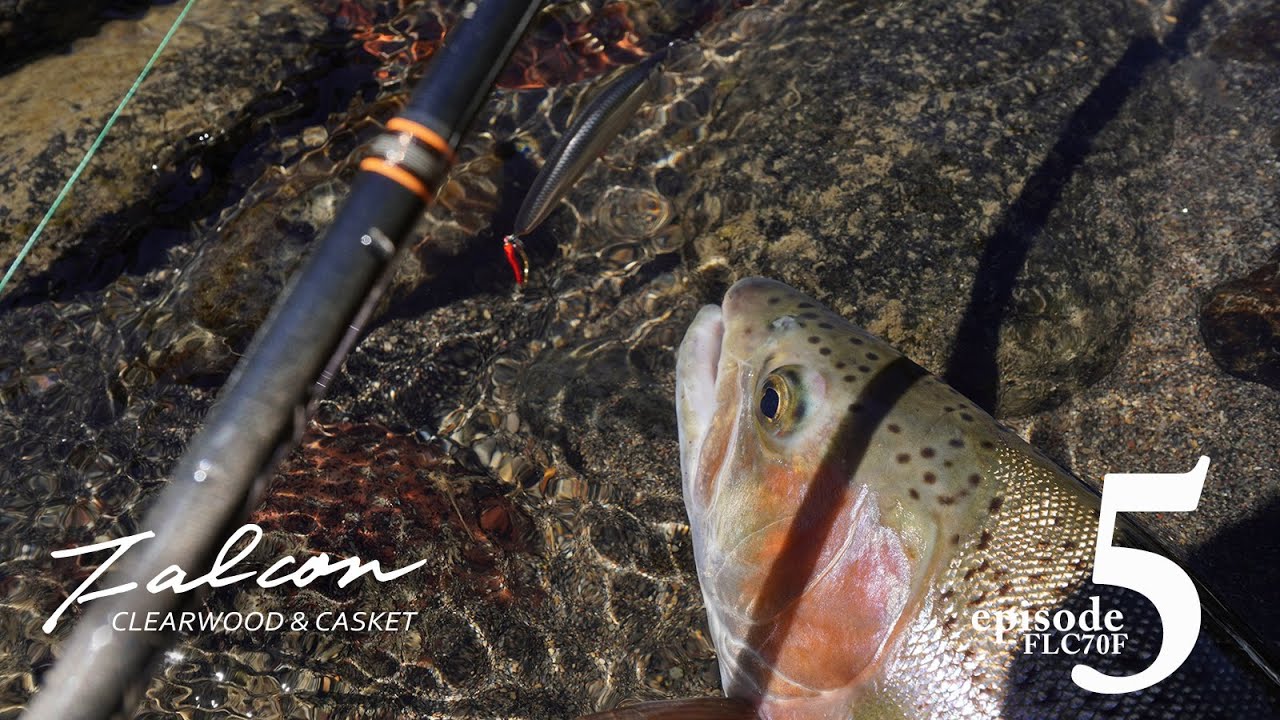 ニュース（総合ブログ） ｜Casket カスケット