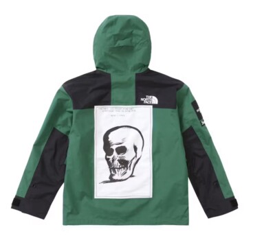 Supreme x The North Face Raymond Pettibon Mountain Jacket Green