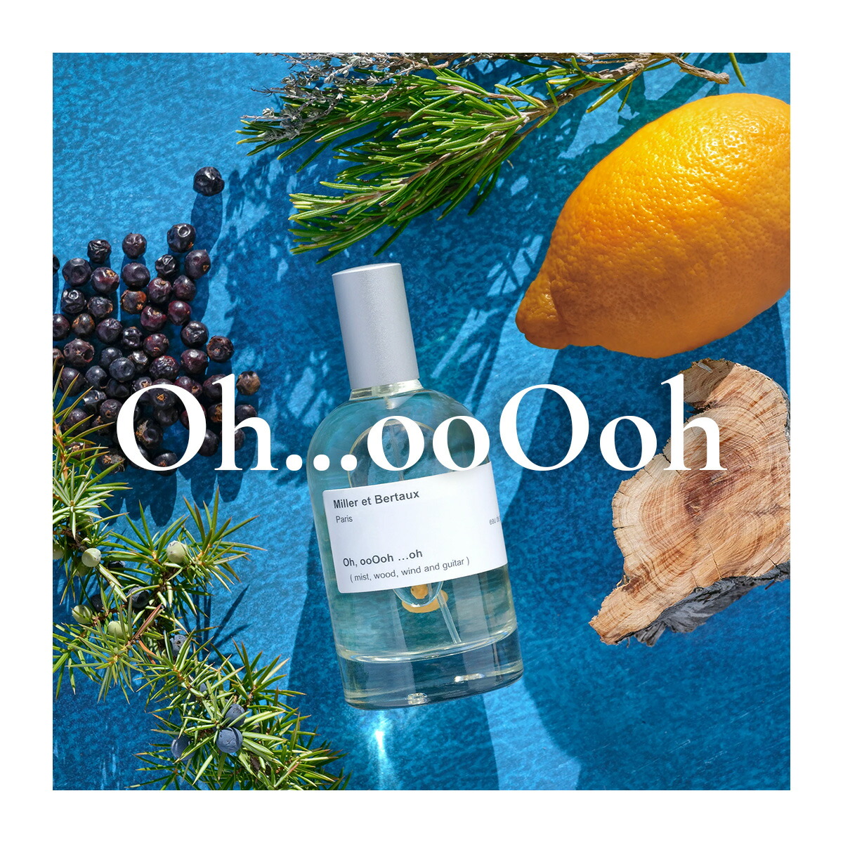 楽天市場】Miller et Bertaux 【オードパルファン香水100ml】 Oh,ooOoH