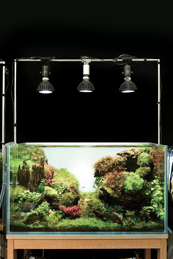 京セラ CERAPHIC いきもの電球 5000K(昼白色) アクアテイラーズ