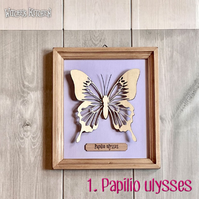 ウィッチーズキッチンのアートフレーム 【 蝶の標本箱 butterfly