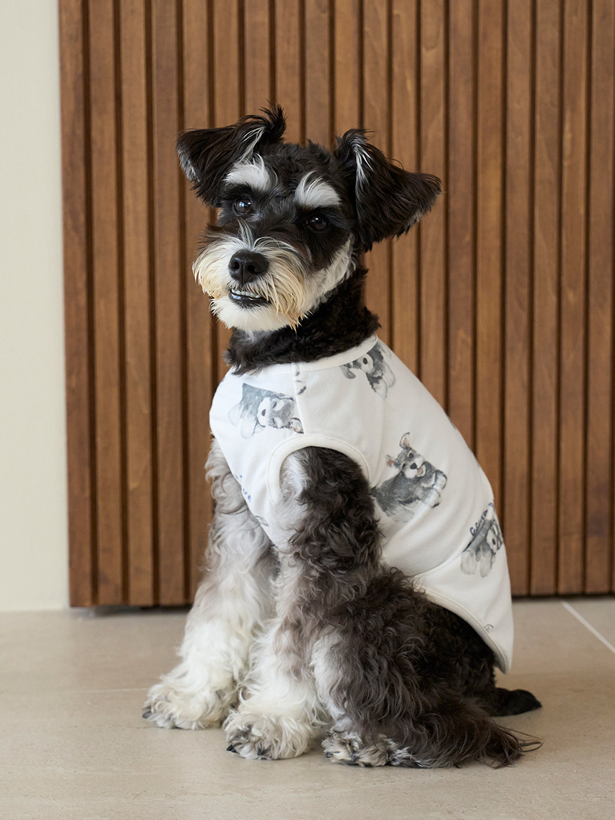 CAT&DOG】シュナウザー柄カットソープルオーバー(ウェア)｜ルーム