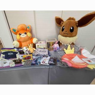 ポケモン - 【新品】計17点 ピカピカボックス2026 抜き取りなし 開封