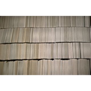 ポケモン - 【本のみ】ポケモンカードゲーム アートコレクションの通販