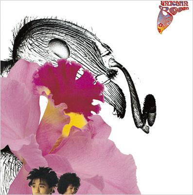 ブーム : ユニコーン | HMV&BOOKS online - SECL-601