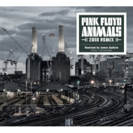 Pink Floyd (ピンク・フロイド)｜HMV&BOOKS online