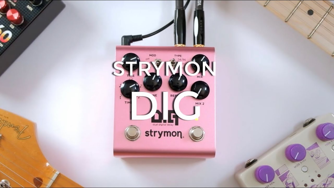 DIG V2 Dual Digital Delay - Strymon