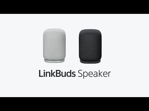 ブルートゥーススピーカー LinkBuds Speaker ブラック SRS-LS1 BC [防