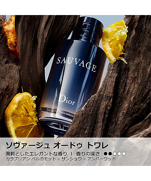 ディオール（Dior） ソヴァージュ トラベル スプレー 限定ボトル（限定