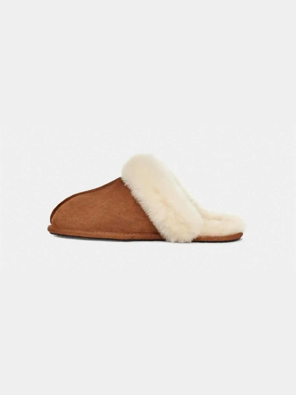 Scuffette II Slipper - Chestnut – Jack's Surfboards