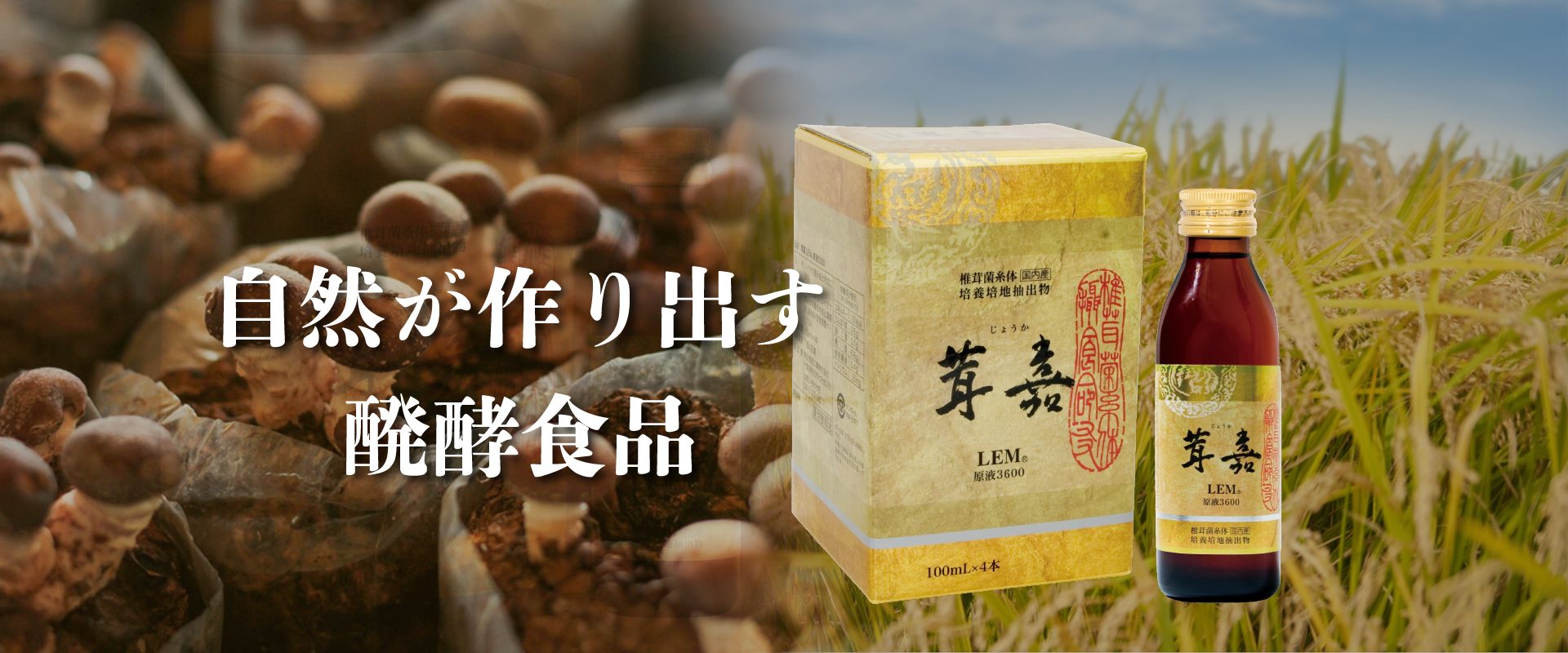 株式会社ジェイ・エイチ・シー | 発酵食品/健康食品