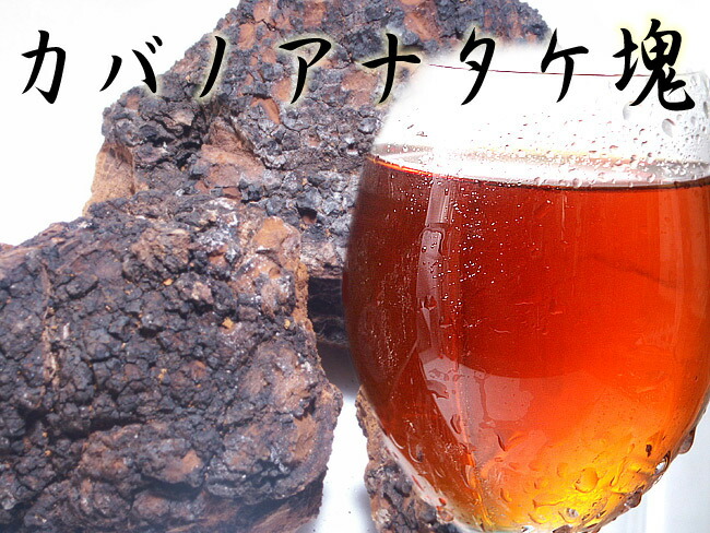 カバノアナタケ茶 塊(原体)300g | 吉粋(きっすい) 北海道から全国へ