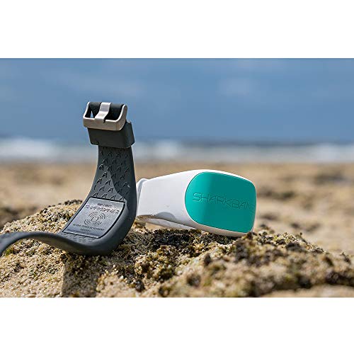 SHARKBANZ 2 - White/Seafoam - Kit Radar